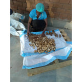 Namibian Naturals Bio Teufelskralle Tee / Aufguss - 210g, Fair Trade