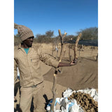 Namibian Naturals Bio Teufelskralle Tee / Aufguss - 210g, Fair Trade